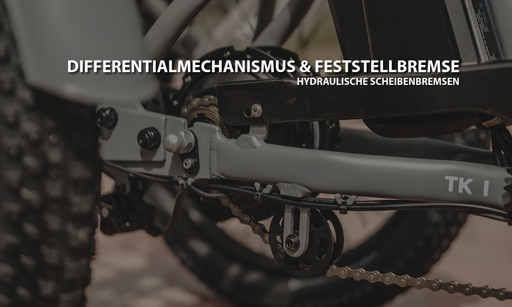 Mooncool TK1 Faltbares E-Dreirad mit Freilauf und 720 Wh DE-Version