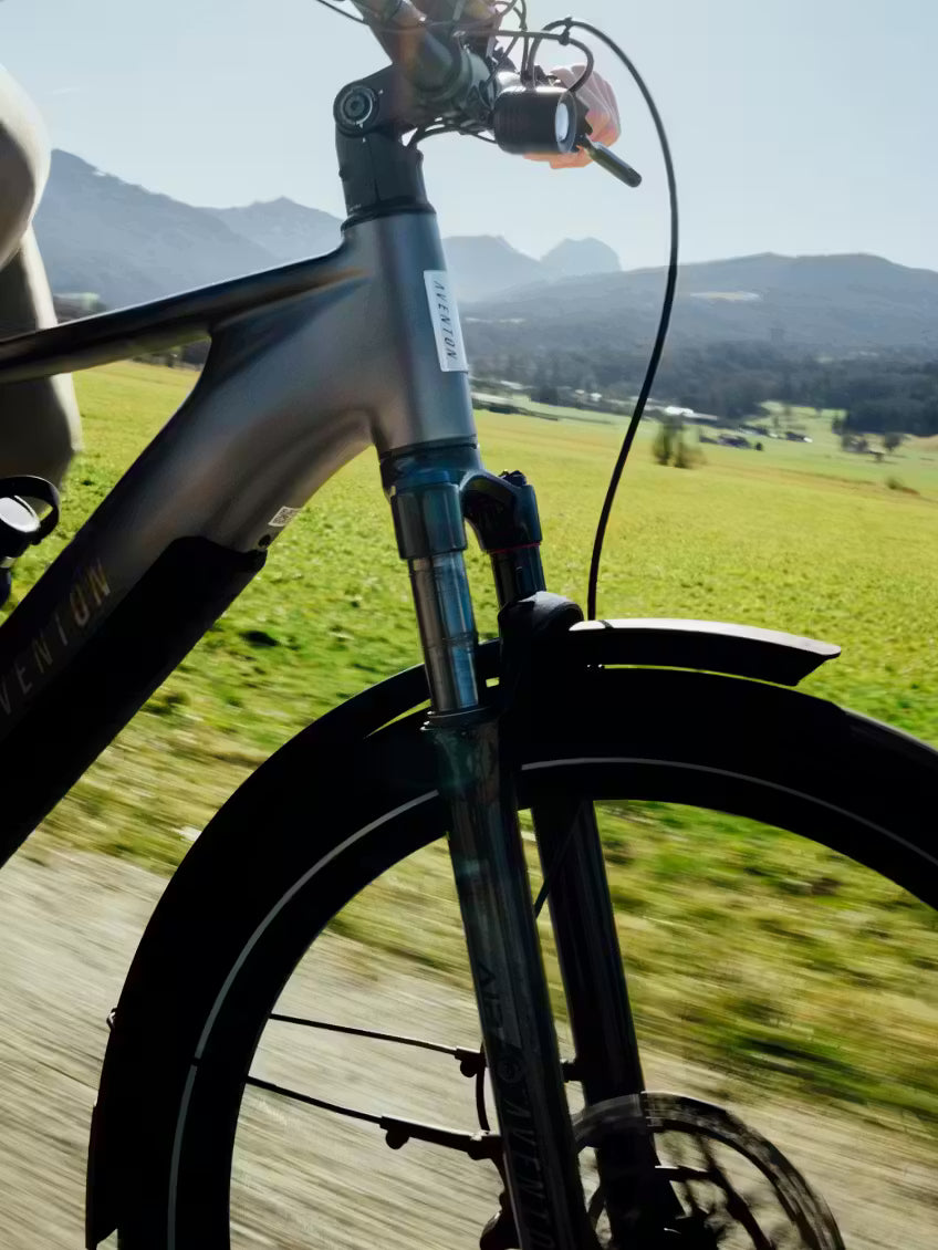 Trava EXP Tiefeinsteiger Trekking E-Bike| 90Nm & bis zu 193 km – Der Holländer Fahrradgeschäft