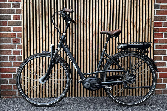 Batavus E-Bike BOSCH Active Line Motor 28 Zoll Damen Cityfahrrad 8-Gang mit Rücktritt
