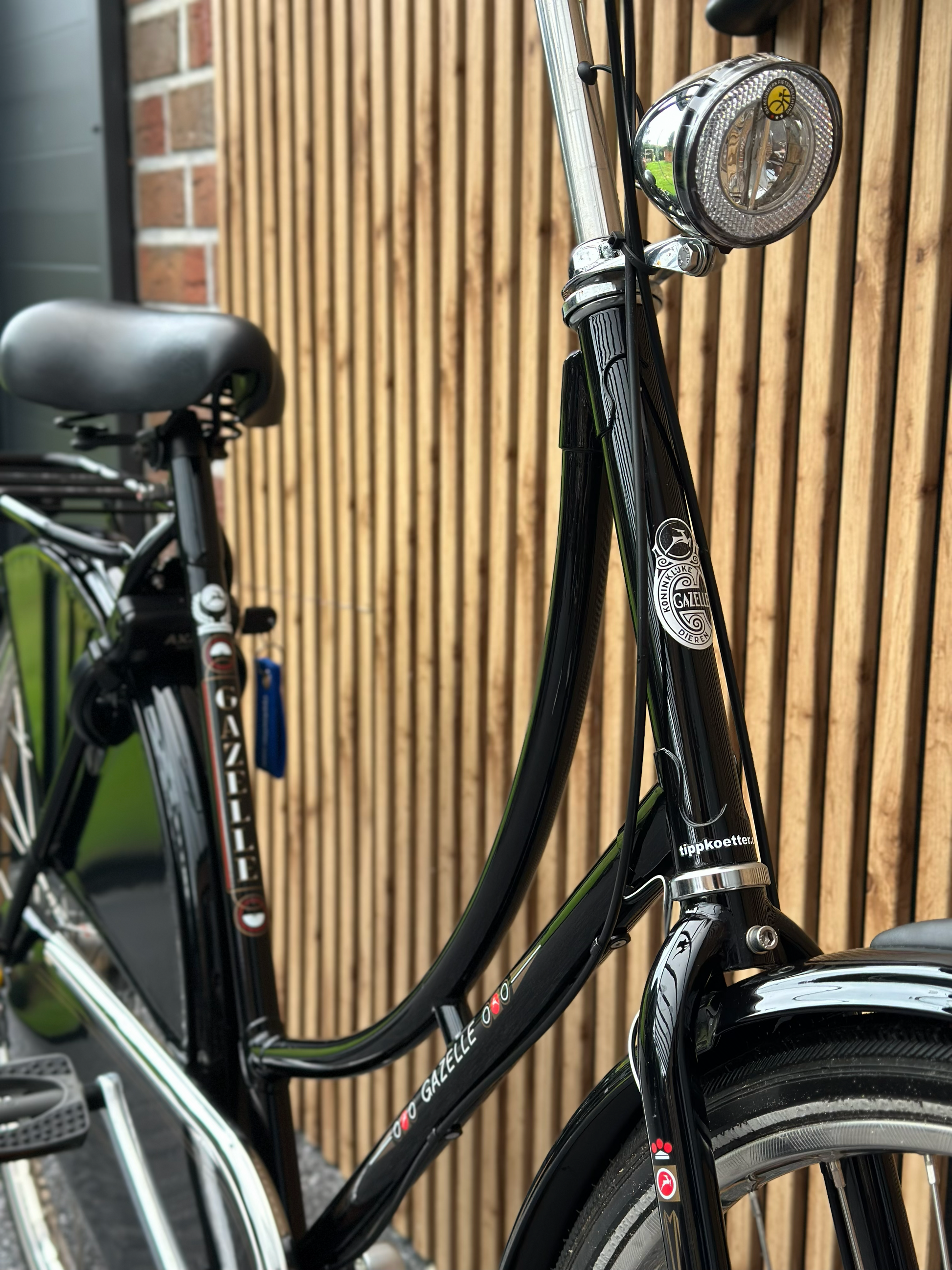 Gazelle G-Touren Damen Hollandrad 28 Zoll 5-Gang Rücktritt kaufen – Der Holländer Fahrradgeschäft