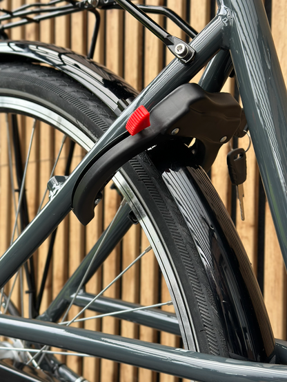 K-Line Sport Tiefeinsteiger Citybike 5-Gang Rücktritt 50cm Anthrazit