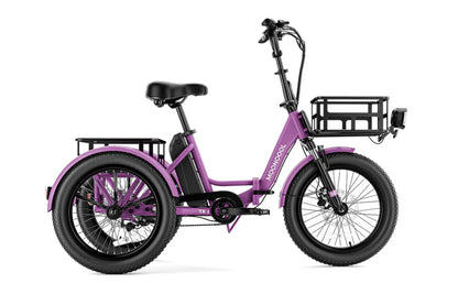 Mooncool TK1 Faltbares E-Dreirad mit Freilauf und 720 Wh DE-Version