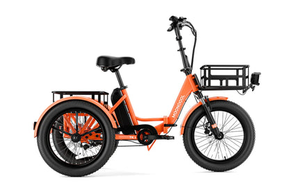 Mooncool TK1 Faltbares E-Dreirad mit Freilauf und 720 Wh DE-Version