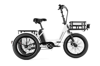 Mooncool TK1 Faltbares E-Dreirad mit Freilauf und 720 Wh DE-Version