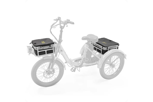 Mooncool E-Dreirad Taschen vorne und hinten