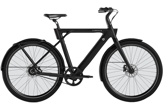 Tenways E-Urban CGO009 Diamant 374 Wh