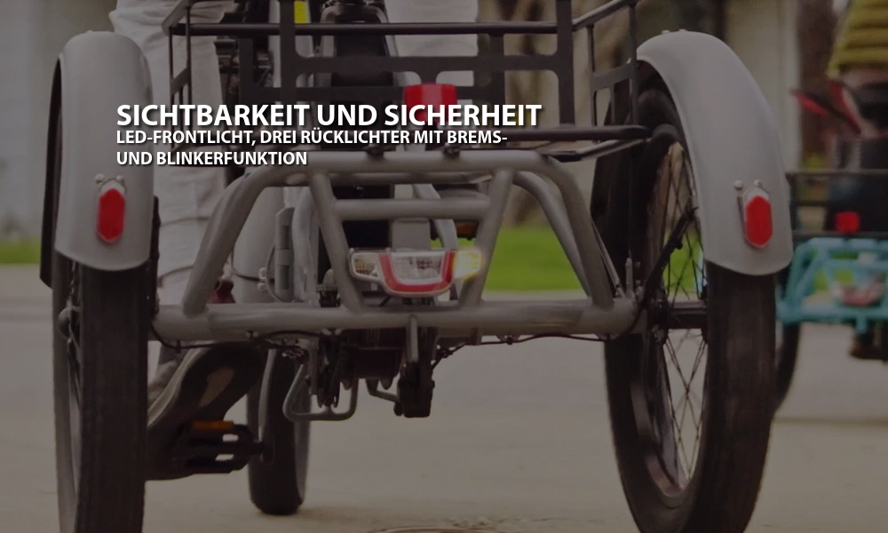 Mooncool TK1 Faltbares E-Dreirad mit Freilauf und 720 Wh