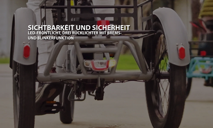 Mooncool TK1 Faltbares E-Dreirad mit Freilauf und 720 Wh DE-Version