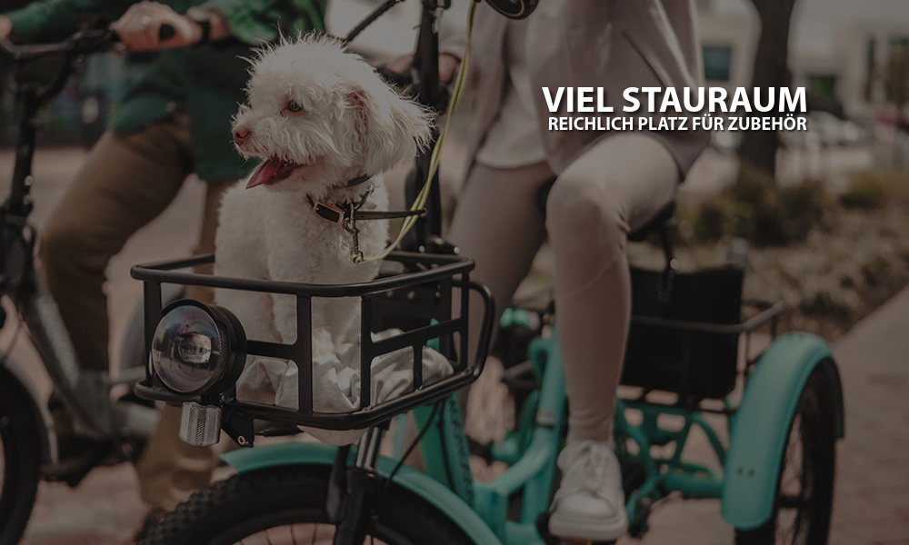 Mooncool TK1 Faltbares E-Dreirad mit Freilauf und 720 Wh