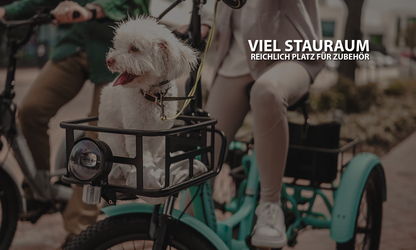 Mooncool TK1 Faltbares E-Dreirad mit Freilauf und 720 Wh DE-Version