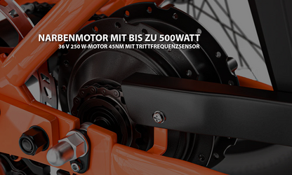 Mooncool TK1 Faltbares E-Dreirad mit Freilauf und 720 Wh DE-Version