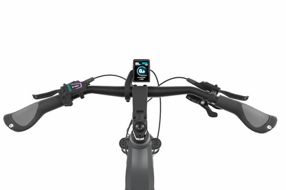 E:vo Tiefeinsteiger City E-Bike | Bosch PX & Shimano CUES 9-Gang