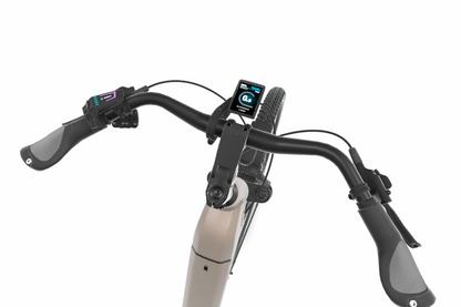 E:vo Tiefeinsteiger City E-Bike | Bosch PX & Enviolo Automatic