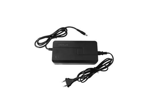 DERUIZ Ladegerät für SUV/Trekking/Faltbar