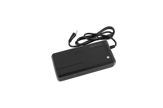 DERUIZ Ladegerät für Turmali/Turmali-Premium