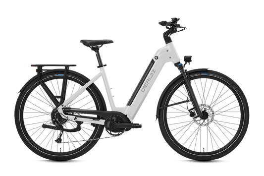 DERUIZ Mica-G 2026 Trekking E-Bike mit Shimano 9-Gang und 644Wh Akku