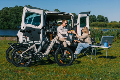 DERUIZ Peridot E-Faltrad mit breiten Reifen und 500Wh Akku