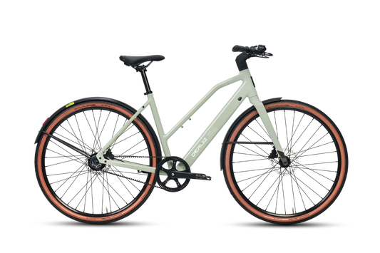 DERUIZ Turmali S 2025 Premium E-Bike in Shade Green für City- und Trekkingtouren