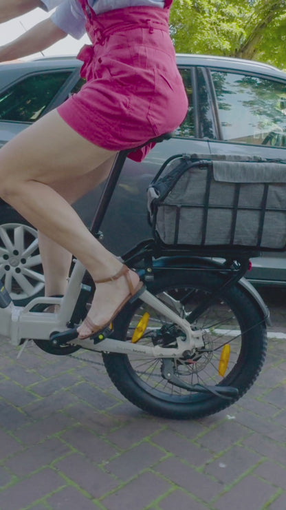 DERUIZ Peridot E-Faltrad mit breiten Reifen und 500Wh Akku