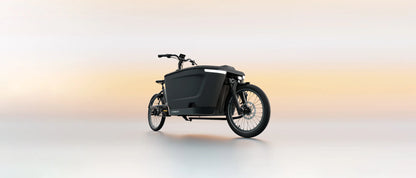 Tenways Cargo-ONE – E-Cargo Bike mit Bafang Motor 960 Wh Akku
